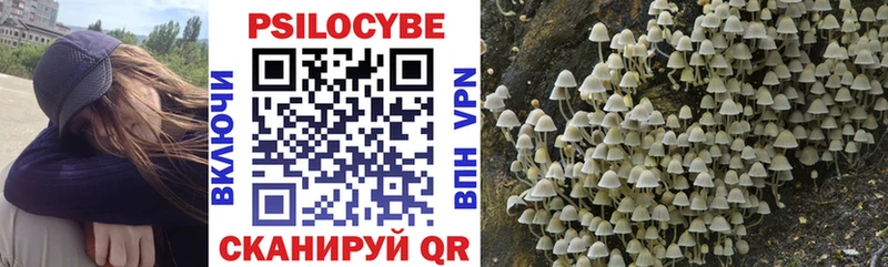 Галлюциногенные грибы Cubensis Купить где Сольцы