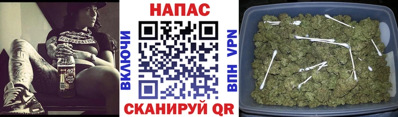 Шишки марихуана Amnesia  Купить закладки  Сольцы 